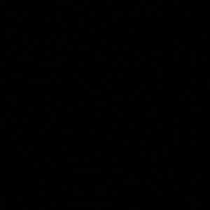 Meet your Posher, Bella